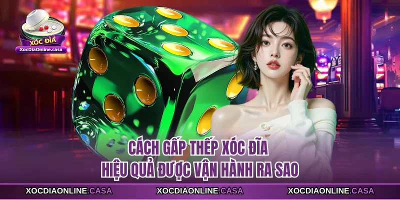 Cách gấp thếp xóc đĩa hiệu quả được vận hành ra sao